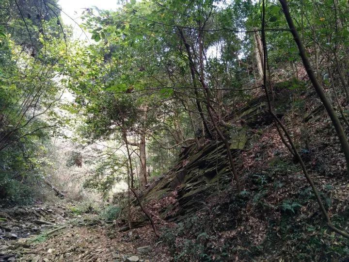 僵尸屠戮
